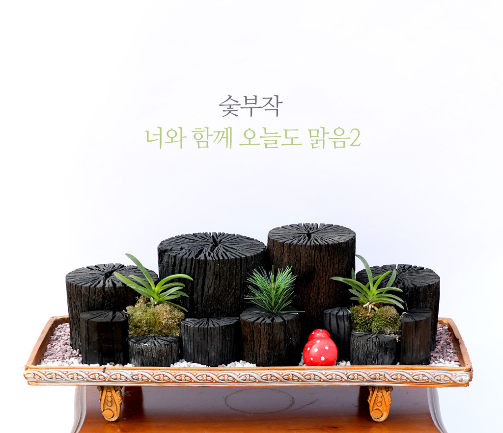 <div class="dd-large-t">숯부작 너와 함께 오늘도 맑음</div>
<div class="dd-c">
몸에 좋은 효능을 많이 가지고 있는 숯에
우아한 자태의 풍란을 붙여 만든
심플한 숯부작 미니정원이예요</div>