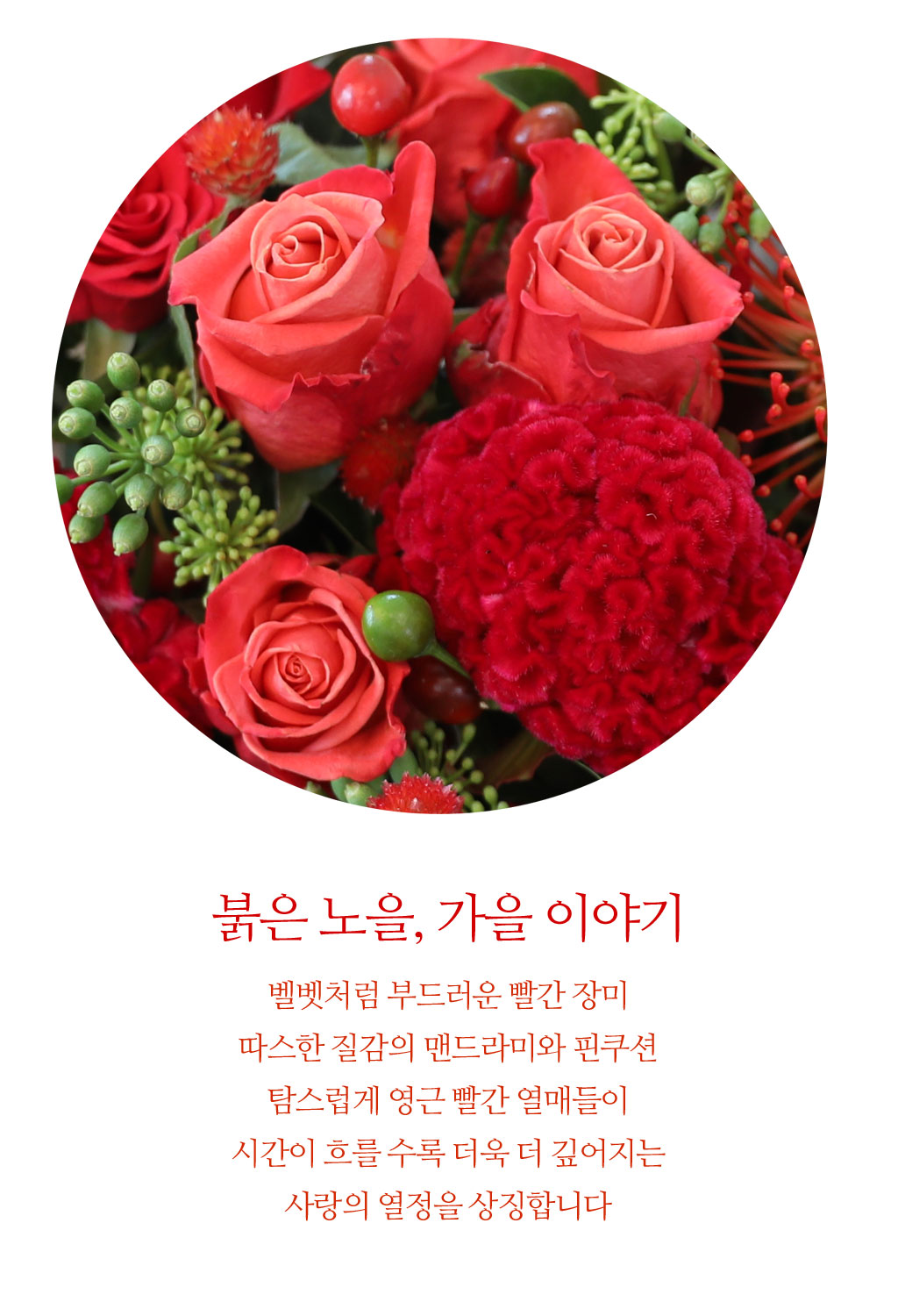 붉은 노을, 가을 이야기