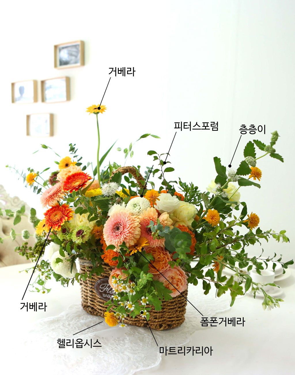 Celebrate Fall - 가을 색연필