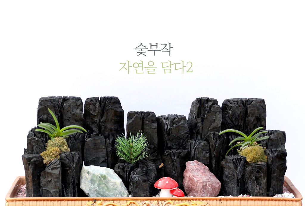 <div class="dd-large-t">숯부작 자연을 담다</div>
<div class="dd-c">
화려한 매력은 없지만
자연을 보는 듯 편안하고 맑아지는
숯부작 미니정원이예요</div>