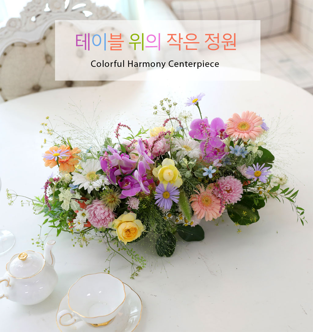 테이블 위의 작은 정원