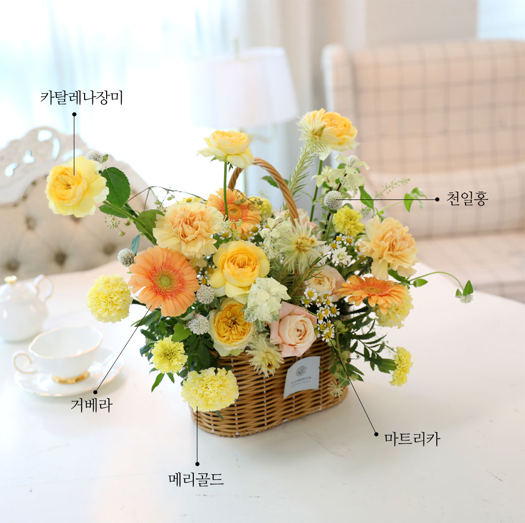 햇살 가득 한 바구니