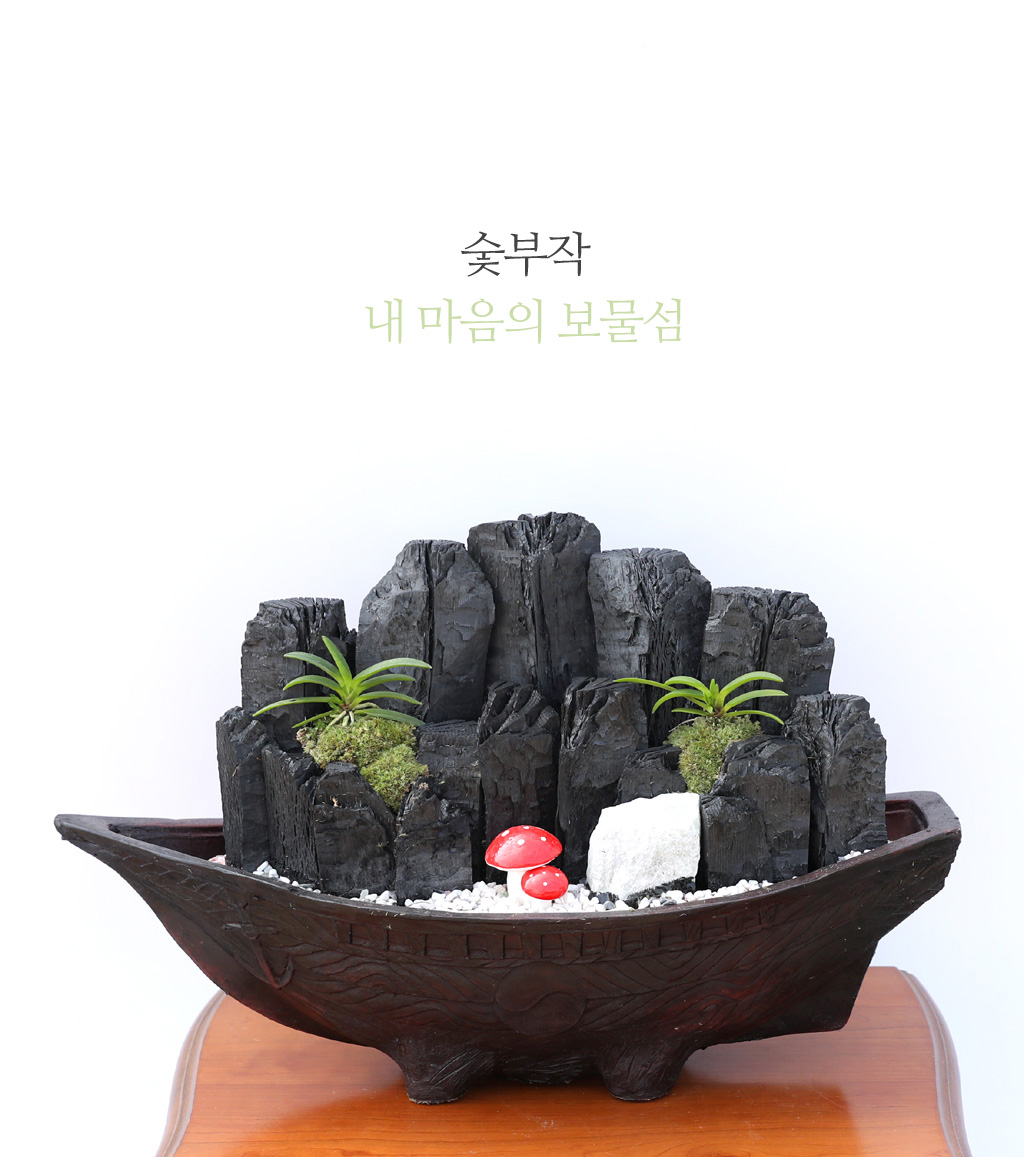 <div class="dd-large-t">숯부작 자연을 담다</div>
<div class="dd-c">
화려한 매력은 없지만
자연을 보는 듯 편안하고 맑아지는 숯부작 미니정원이예요</div>