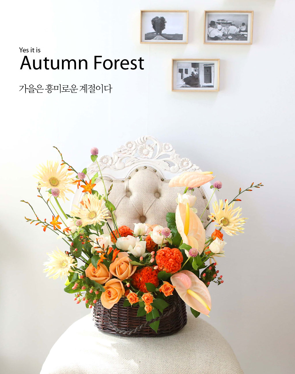 Yes it is Autumn Forest