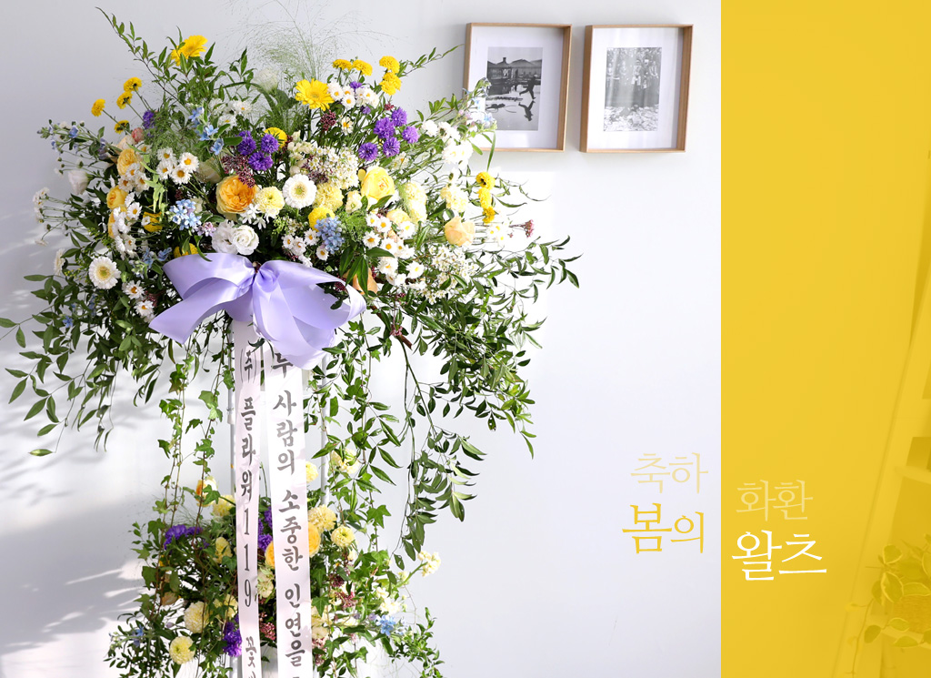 <div class="dd-large-t">봄의 왈츠</div>
<div class="dd-c">
유러피안 스타일로 내츄럴하고 우아한 축하 화환이예요
봄날의 꽃들처럼 밝고 힘찬 느낌이 들도록 제작했어요 </div>