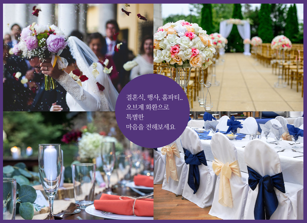 아름다움과 특별함을 담은 축하화환 봄의 왈츠
결혼식은 물론이고
각종 연회나 행사, 전시회, 음악회, 홈파티 등
축하드릴 곳 어느 곳에나
기억에 남는 선물이 될 거예요