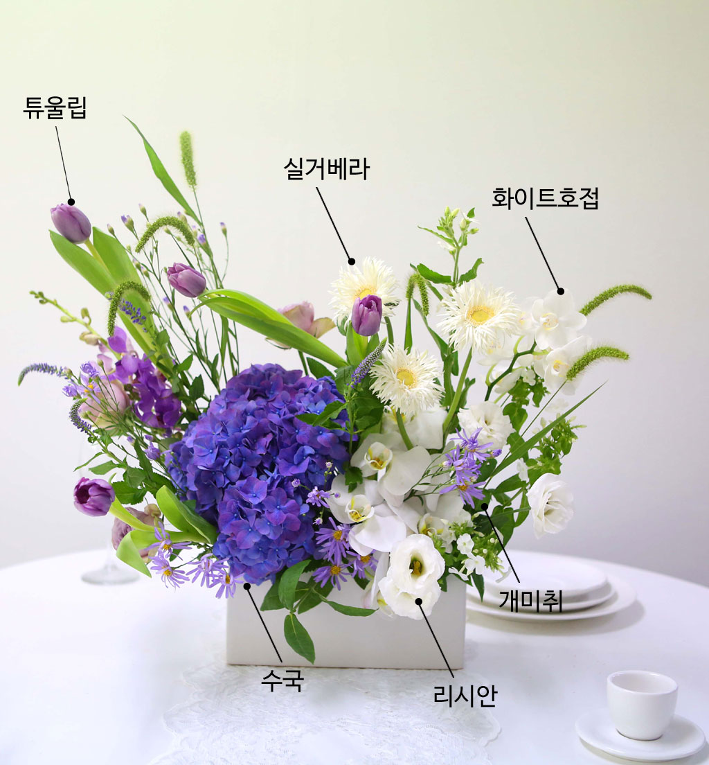 꽃이 아름답고 오래가는 호접란, 여리여리한 잎이 아름다운 리시안셔스,
재질감이 독특하면서도 고급스러운 실거베라의 화이트 컬러가,
블루보라빛의 탐스러운 수국, 줄기의 라인감이 아름다운 튤립의 보라빛과 어울려,
청초하면서도 낭만적인 느낌을 가득 담았습니다.