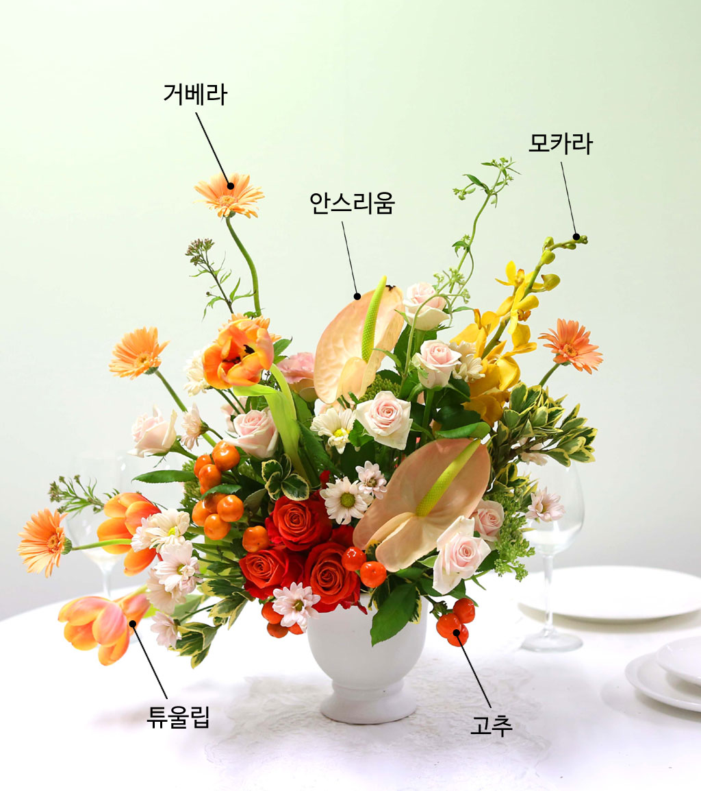 가을 노을을 닮은 따뜻한 색감으로 옐로우, 오렌지, 레드 계열로 컬러를 매치했습니다.