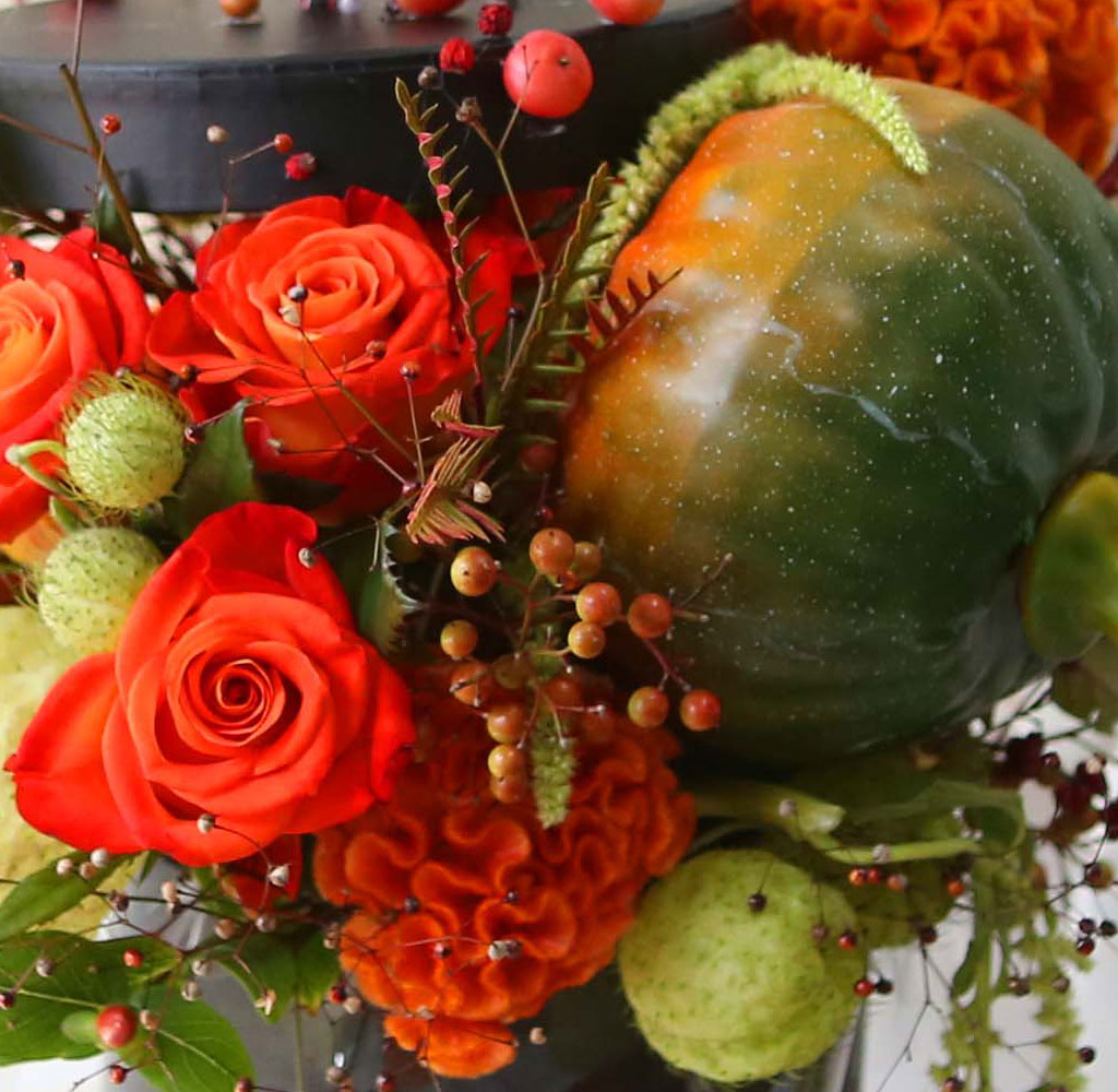 Happy Halloween - THE JOY OF LIFE