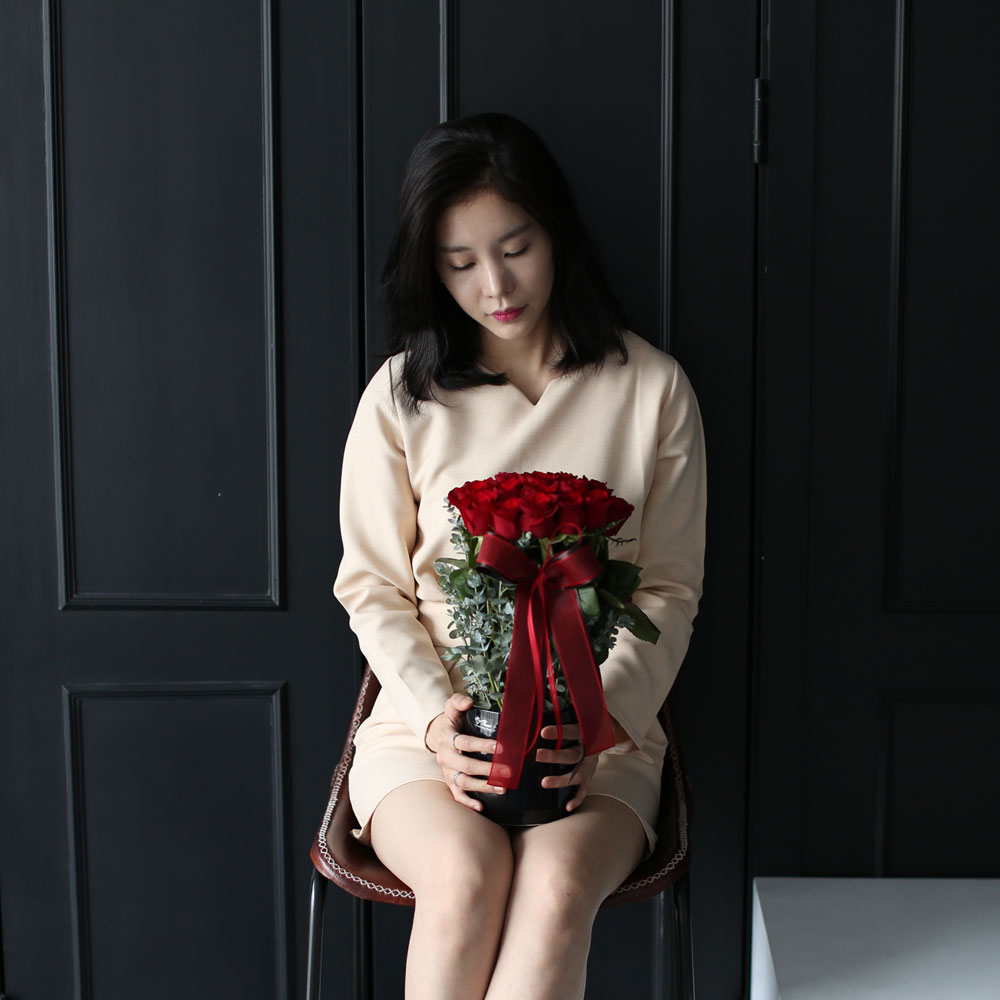 로즈데이 - vivid rose day