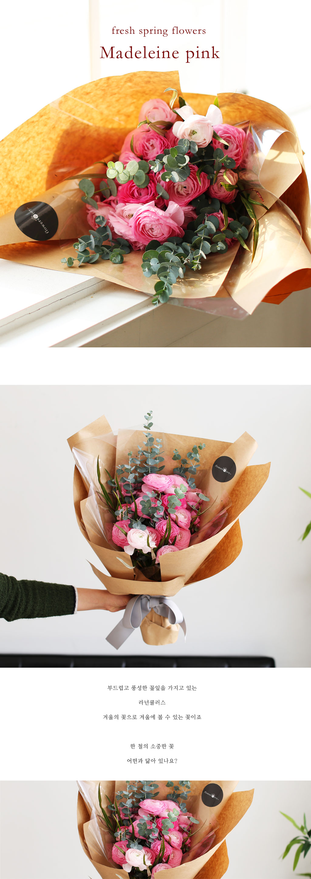 Fresh spring flower madeleine pink