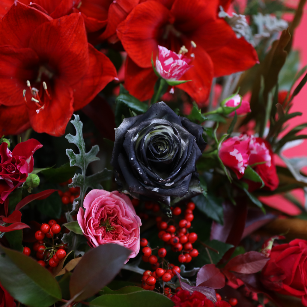 Ruby Noel Bloom Box