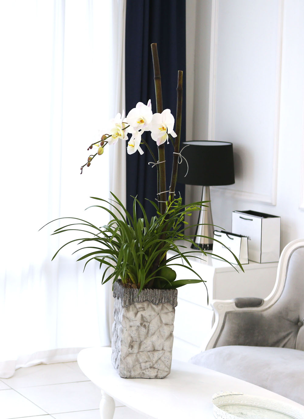 Living with flowers everyday - Newyork style Orchid 스프링파루와 화이트호접