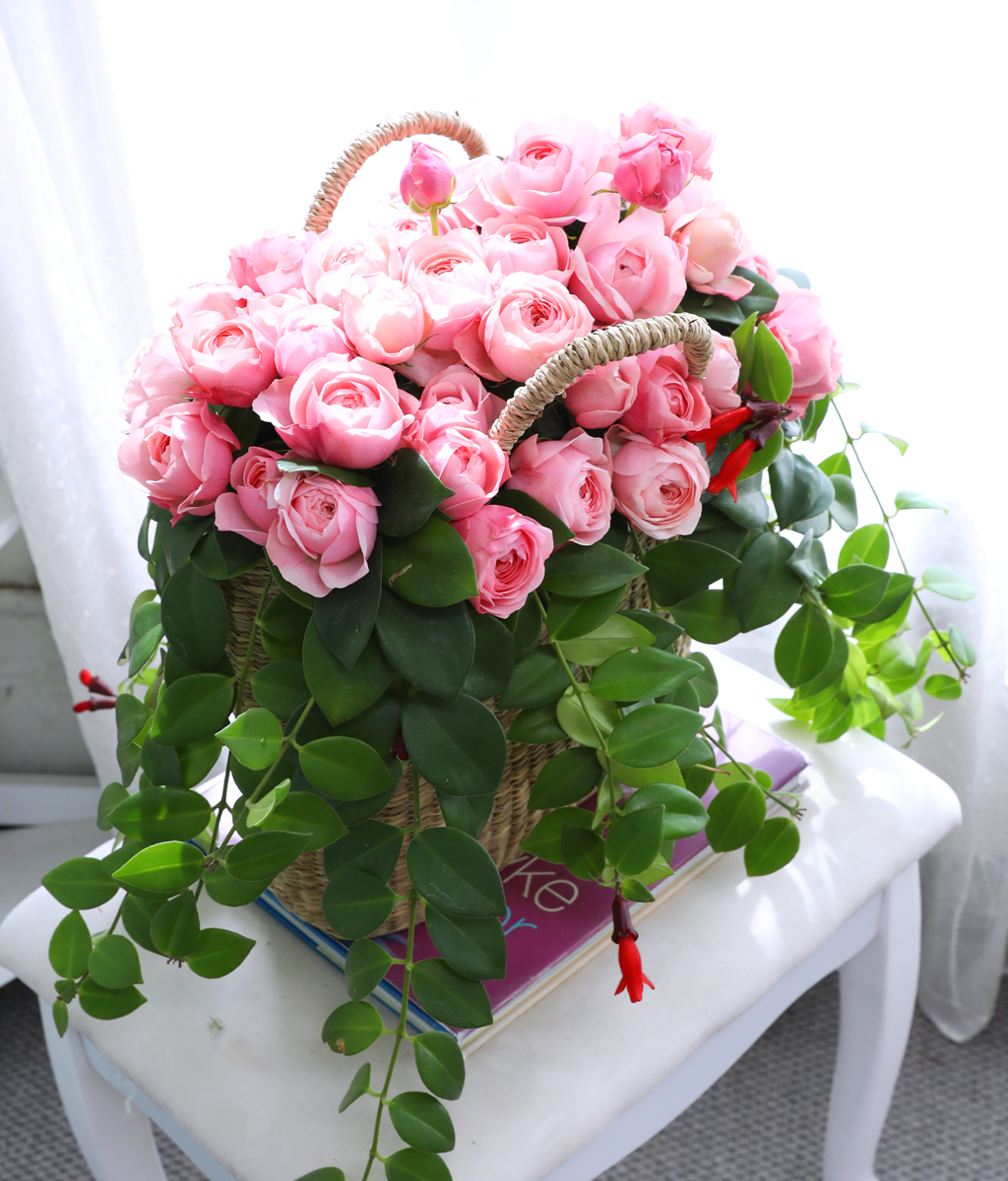 Romatic Rose