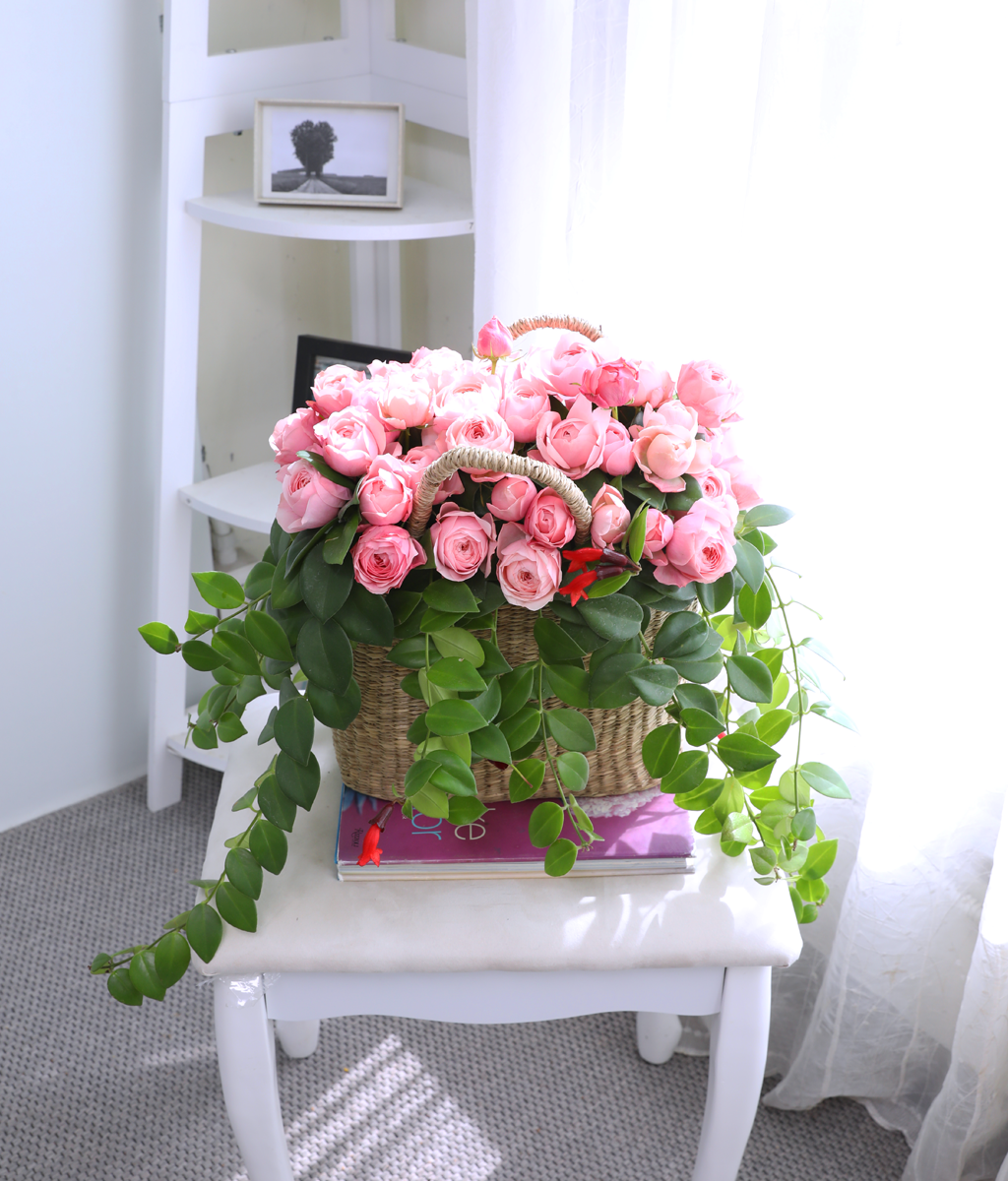 Romatic Rose