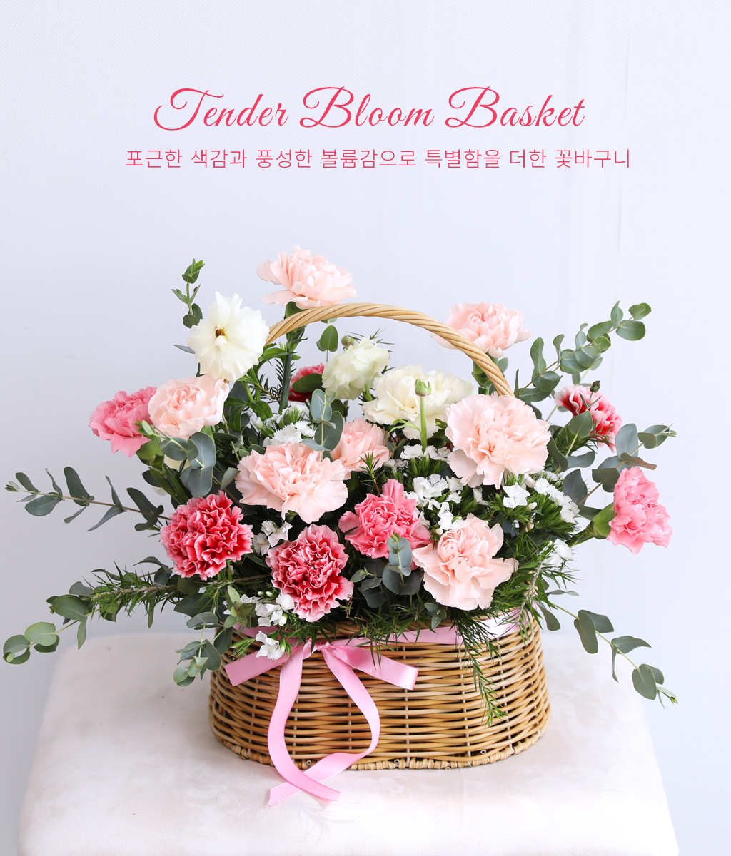 <br>Tender Bloom Basket<br>
핑크 카네이션의 꽃말은 '열렬한 사랑'과 '감사'입니다.
전하고 싶은 고마운 마음을 이 풍성한 꽃잎들로 더 깊이 있게 표현하세요.