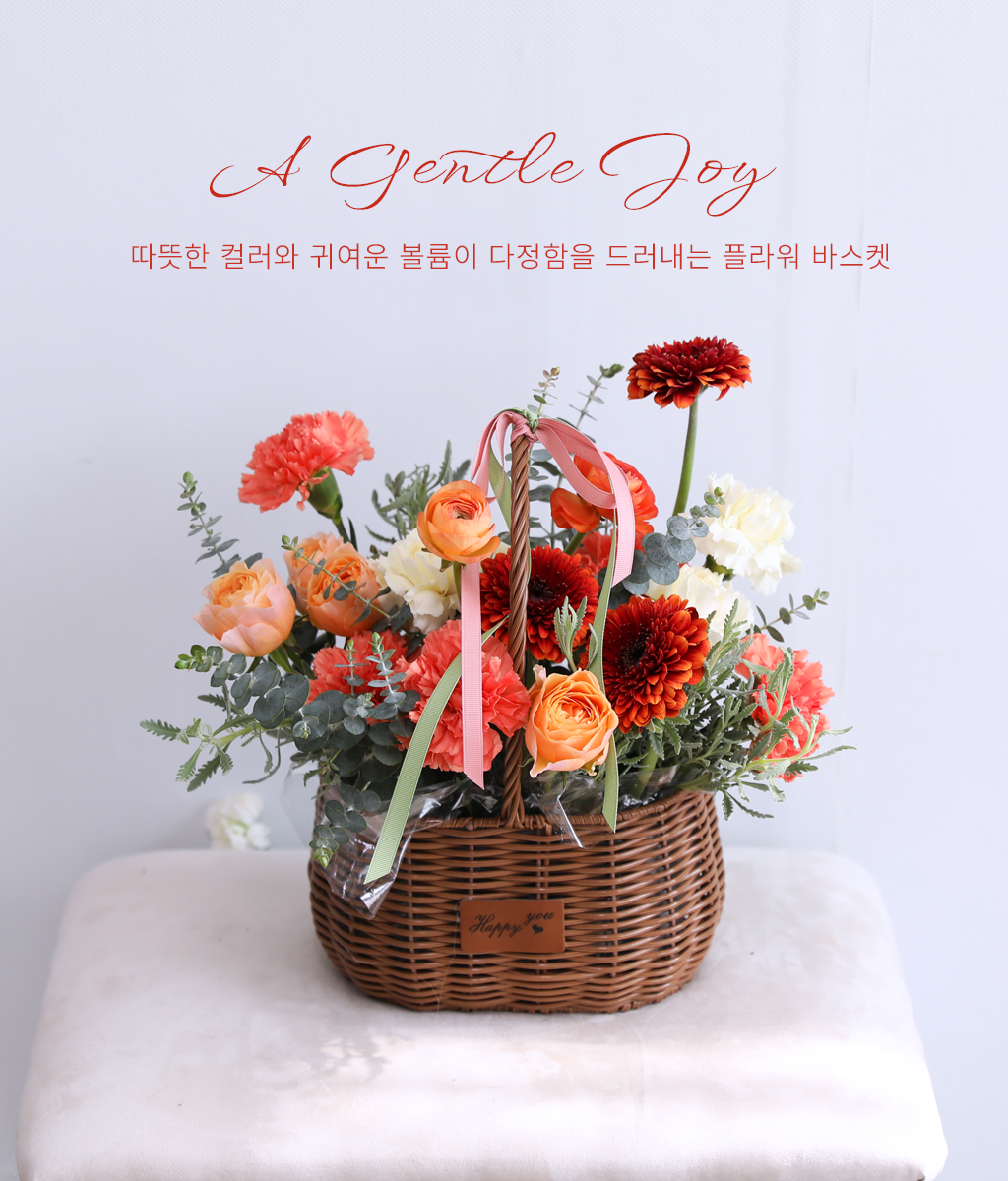 <br>A Gentle Joy Basket</br>
카네이션의 꽃말은 '어버이에 대한 사랑'과 '건강을 비는 마음'입니다.
세상에서 가장 고마운 분께 전하는 당신의 깊은 존경이 이 꽃잎마다 정성껏 깃들어 있습니다.
