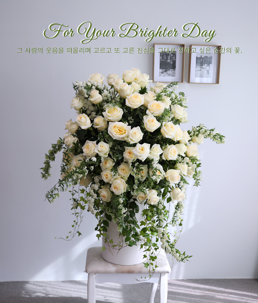 <br>For Your Brighter Day</br>
아이보리 빛이 감도는 화이트 장미를 아낌없이 담았습니다.
자칫 단조로울 수 있는 구성에 작은 흰색 꽃망울이 맺힌 소재들을 섞어 풍성한 볼륨감을 만들었어요.