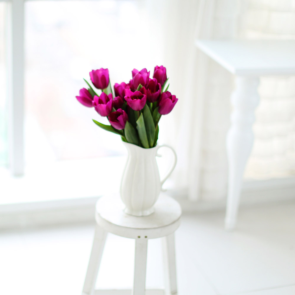 Spring&Sweet - oh my tulip