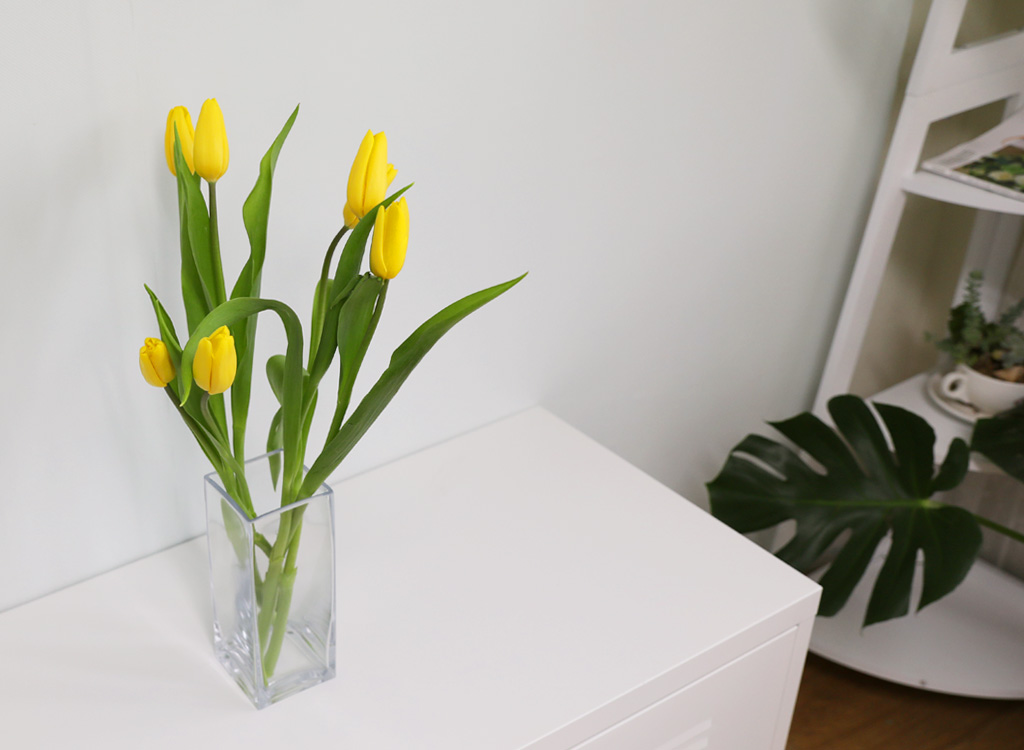 <div class="dd-small-t">곧게 뻗은 모양의</div>
<div class="dd-large-t">직사각 유리화병</div>
<div class="dd-c">심플하고 깔끔한 매력</div>