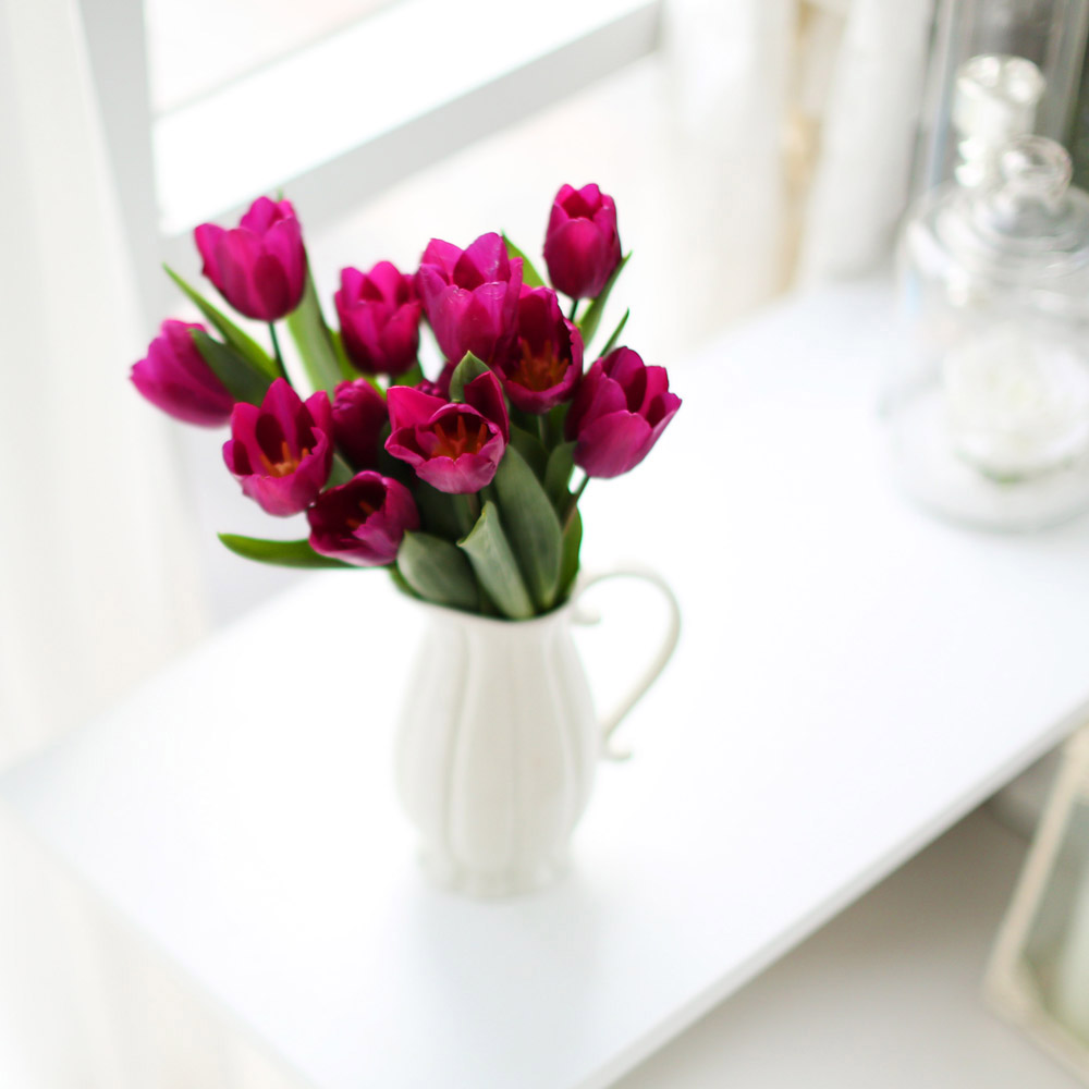 Spring&Sweet - oh my tulip