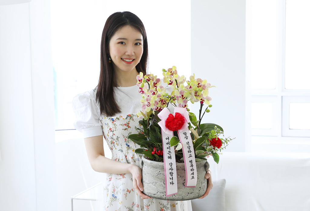 "행복이 날아온다"는 호접란,
행복이 깃들기를 바라는 곳에 선물하세요.