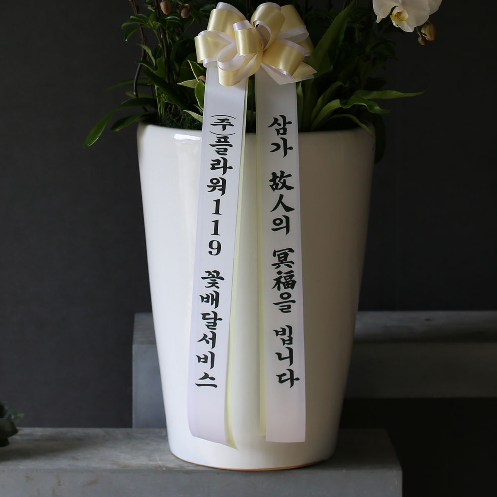 조문용 백색호접(2016.NO 1)