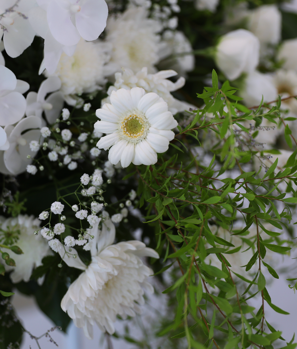 With Deepest Sympathy