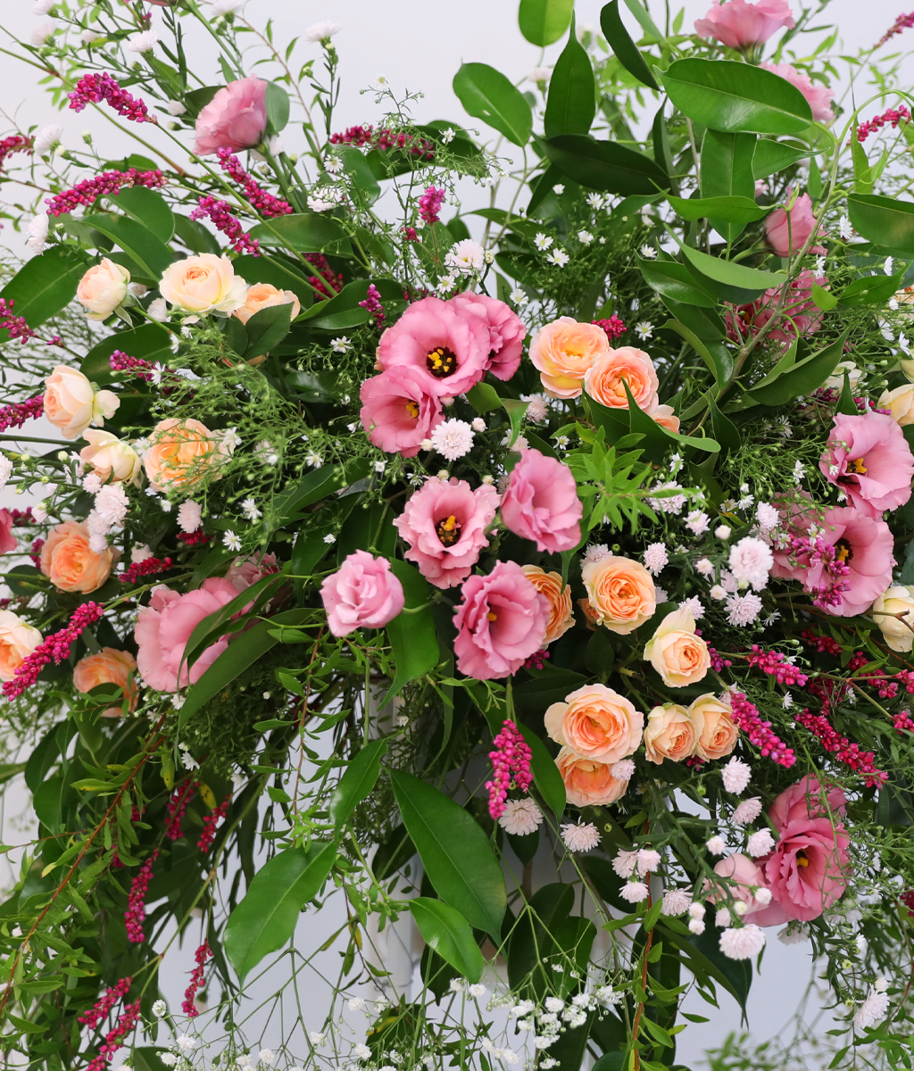Where Warm Blessings Bloom