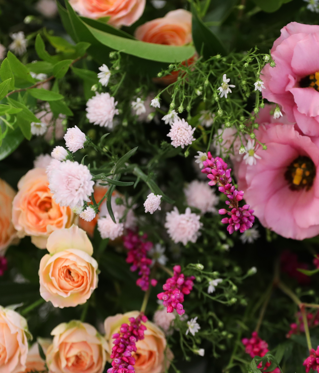 Where Warm Blessings Bloom