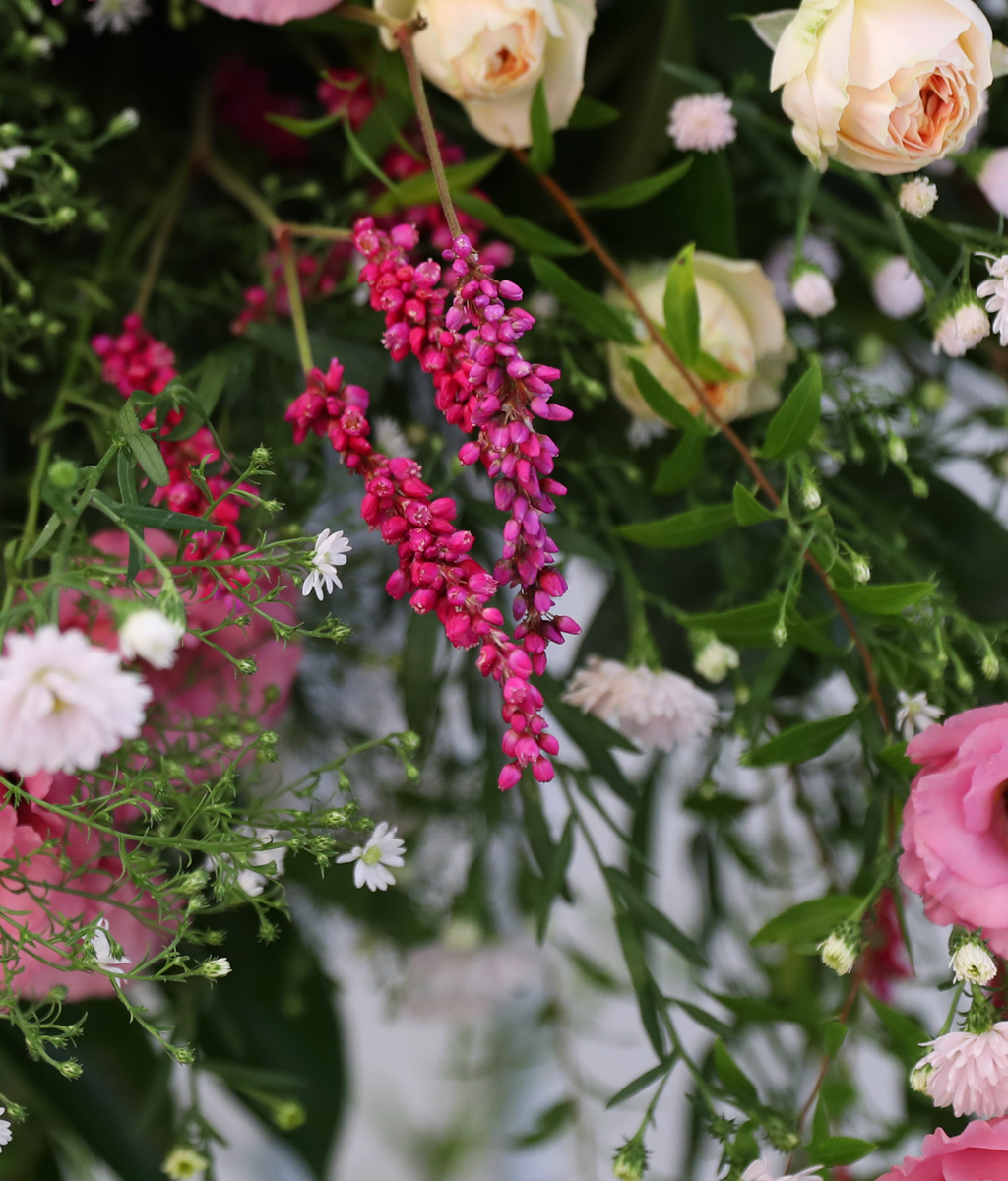 Where Warm Blessings Bloom