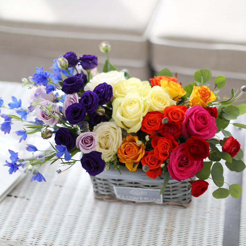 Spring&Sweet- Section RAINBOW 2