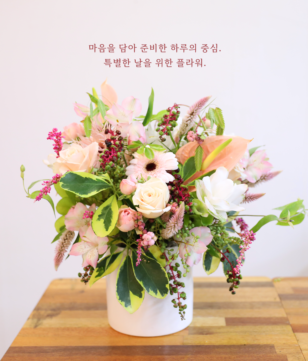 분홍빛 온기