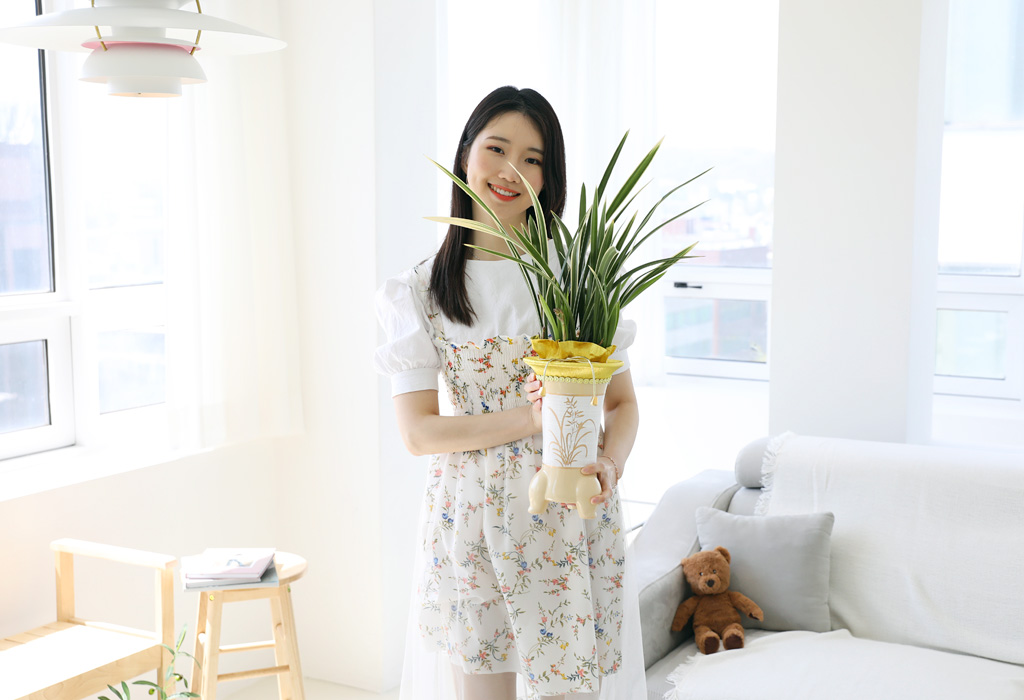 존경의 마음을 담은 동양란 - 잎이 무늬가 있는 황룡금