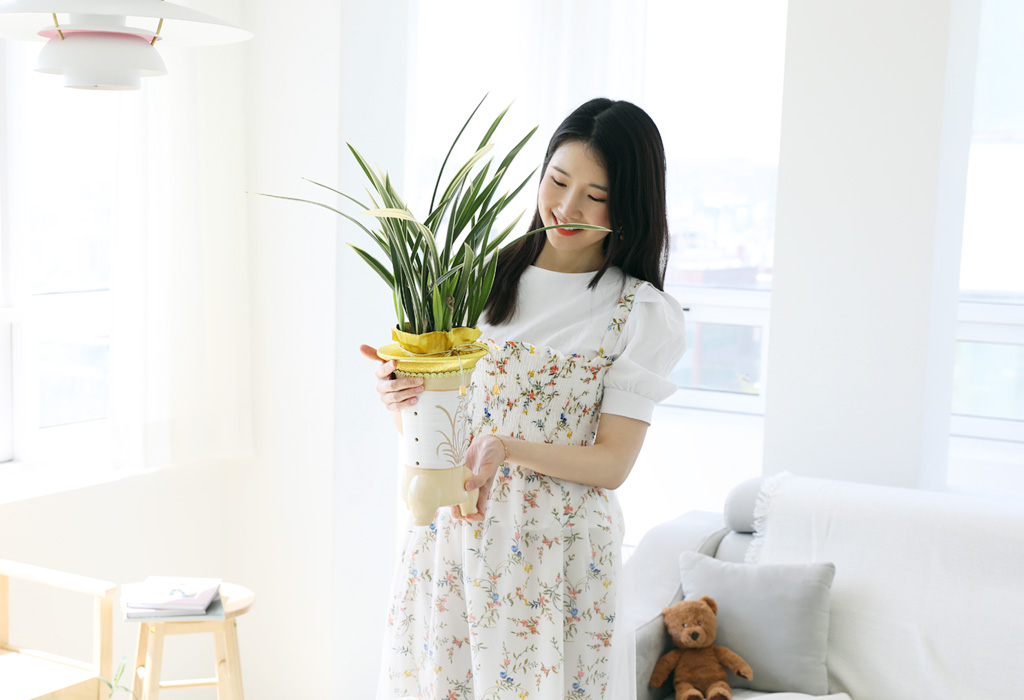 존경의 마음을 담은 동양란 - 잎이 무늬가 있는 황룡금