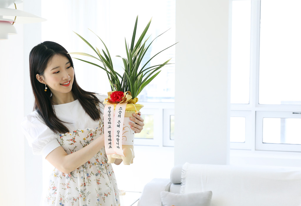 존경의 마음을 담은 동양란 - 잎이 무늬가 있는 황룡금