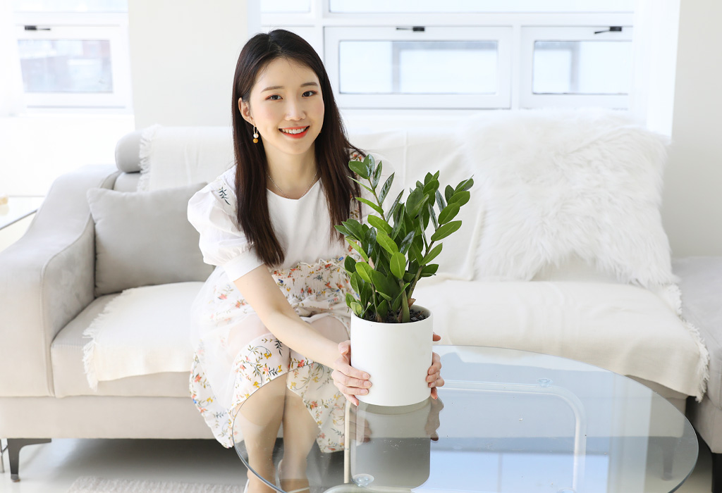 금전수의 꽃말은 '번영, 금전, 부유' 입니다.
금전수와 함께 하시는 모든 분들께서 몸과 마음 모두 번영하시길 바랍니다.