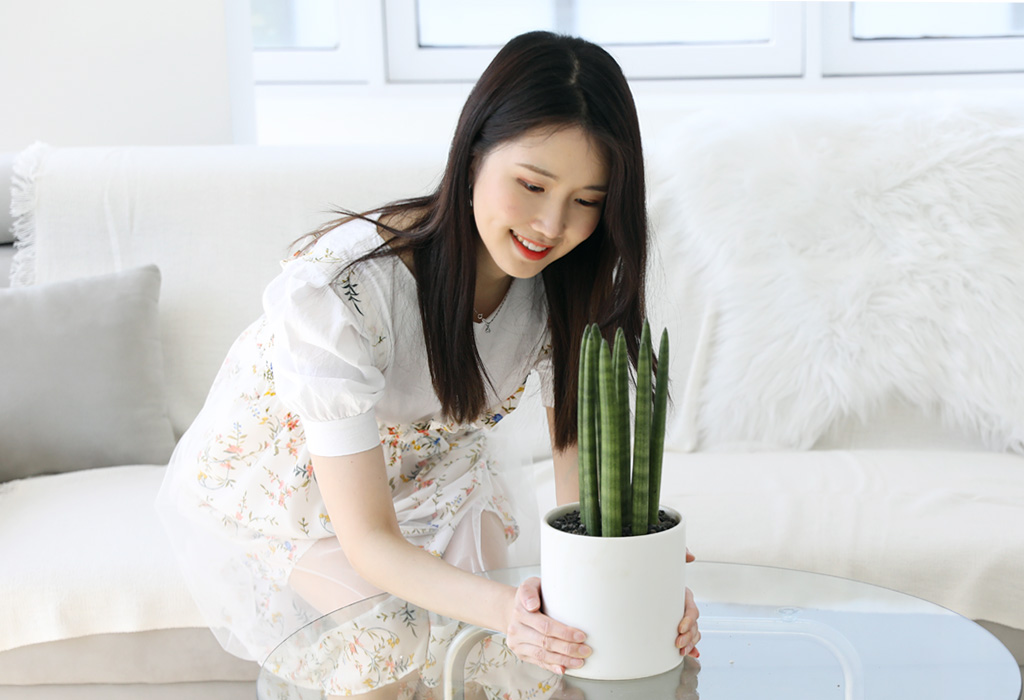 스투키는 물을 자주 주지 않아도 잘 자라며, 병충해에 강하여
관리하기 쉽고 오래가는 식물이에요.
집들이나 개업선물으로 오래오래 볼 수 있는 스투키를 추천드립니다.