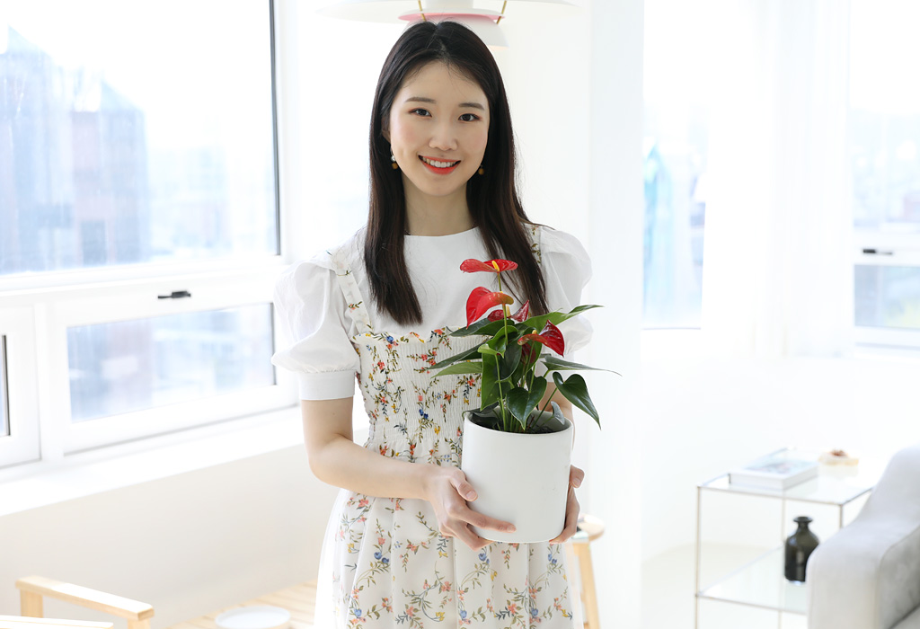 <div class="dd-small-t">아름다운 빛깔의 꽃잎과 함께</div>
<div class="dd-large-t">안스리움</div>
<div class="dd-c">꽃을 오래보실 수 있어요</div>