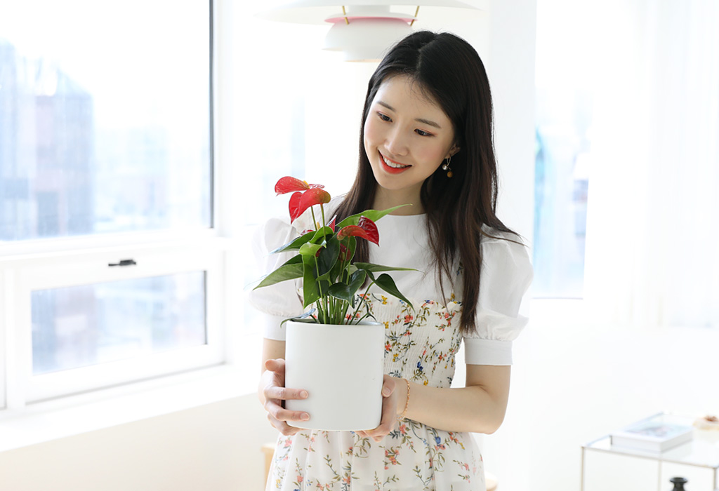 포인트가 되는 외모에 더해 공기정화능력까지 갖춘 안스리움을
개업선물 또는 집들이 선물로 준비해보시는 것을 추천드려요 :)