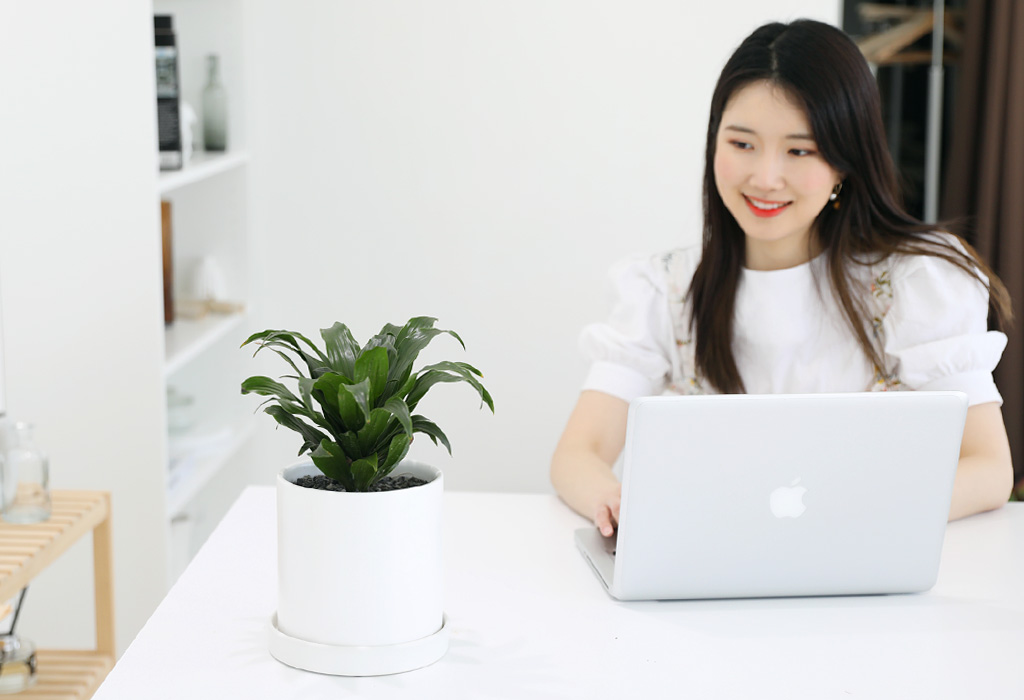식물이 자라면서 잎을 바나나 껍질 벗기듯 정리해주시면
멋진 목대를 관찰하실 수 있어요 !
책상 위에 두고 기분 전환하기에도 딱이에요 :)