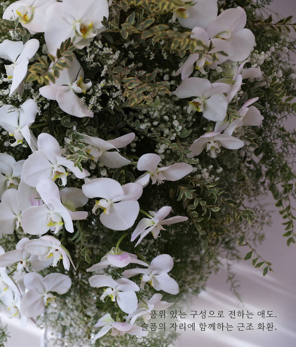 고요한 안식의 정원