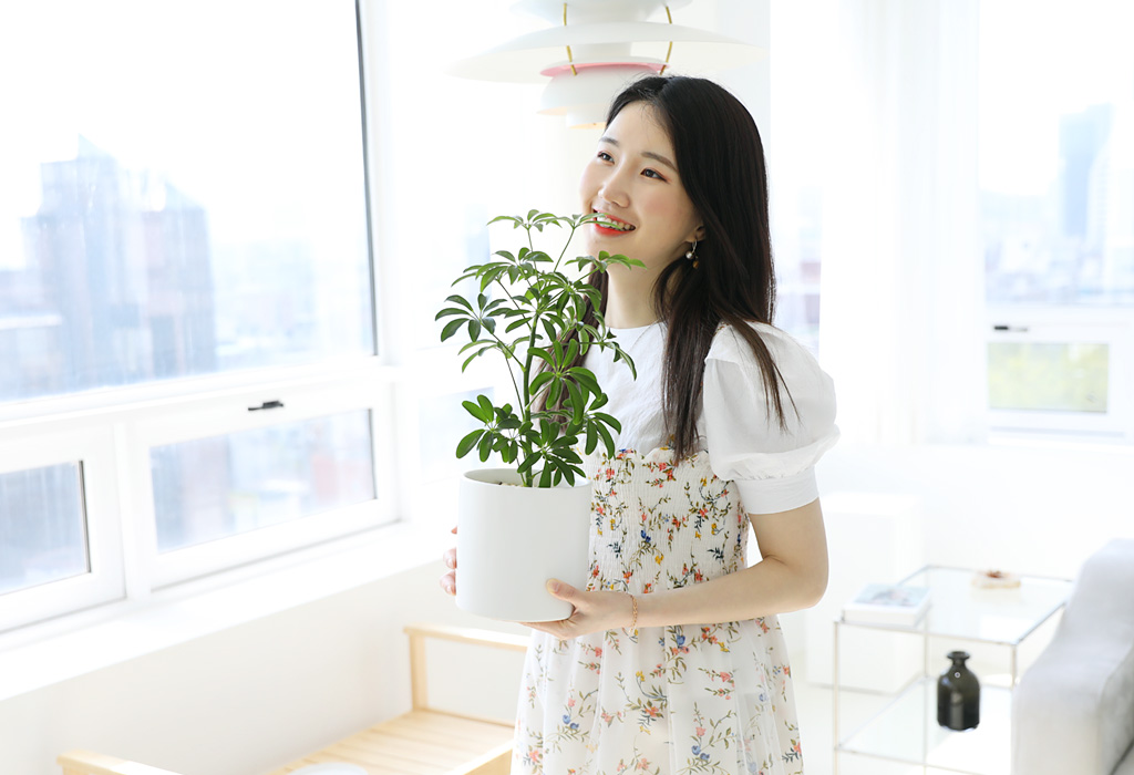 '행운'과 '함께하는 사랑'이라는 꽃말을 가진 홍콩야자를
행운과 사랑을 담아 선물해보시는 건 어떠세요?