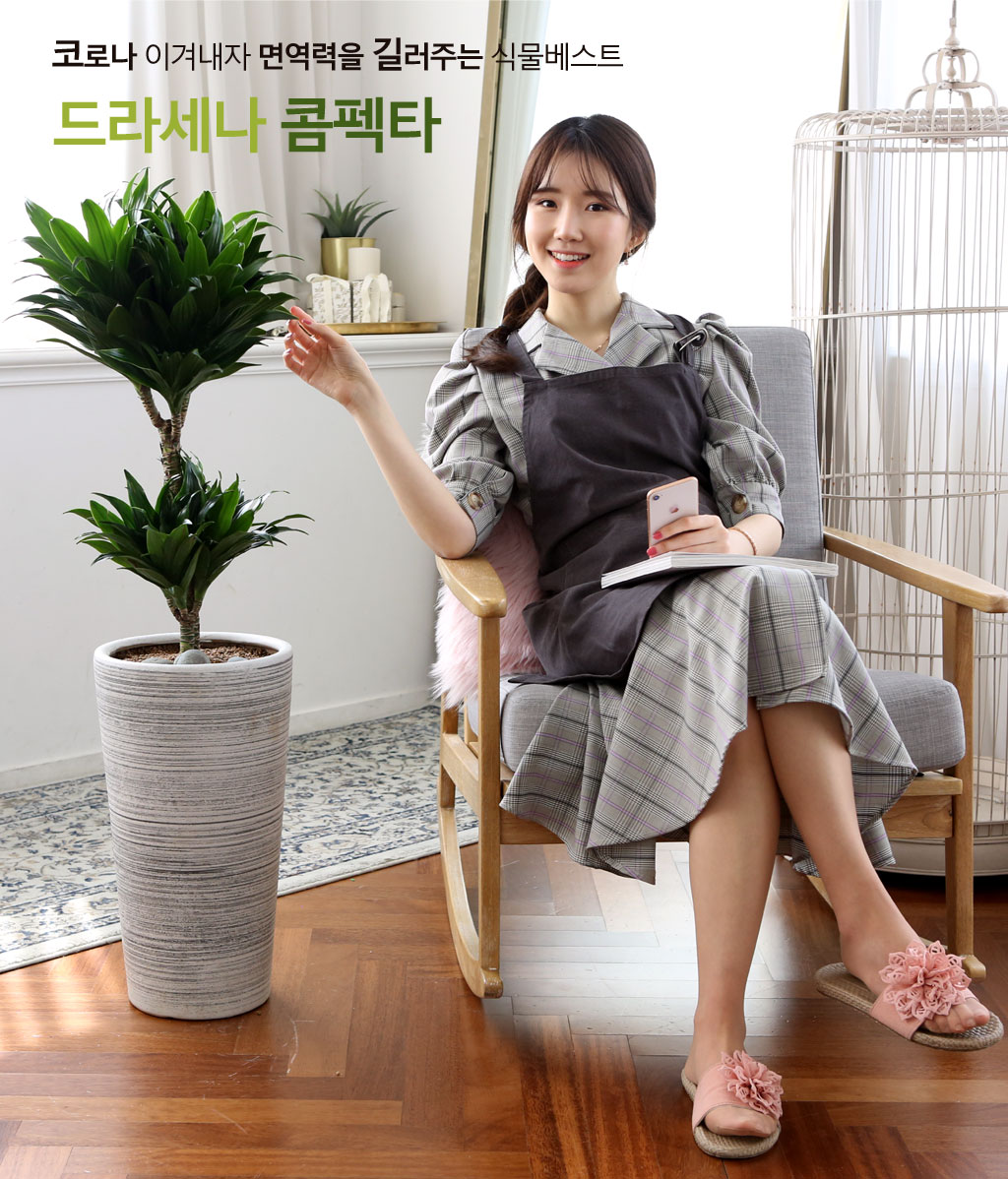 면역력을 길러주는 식물 - 콤펙타