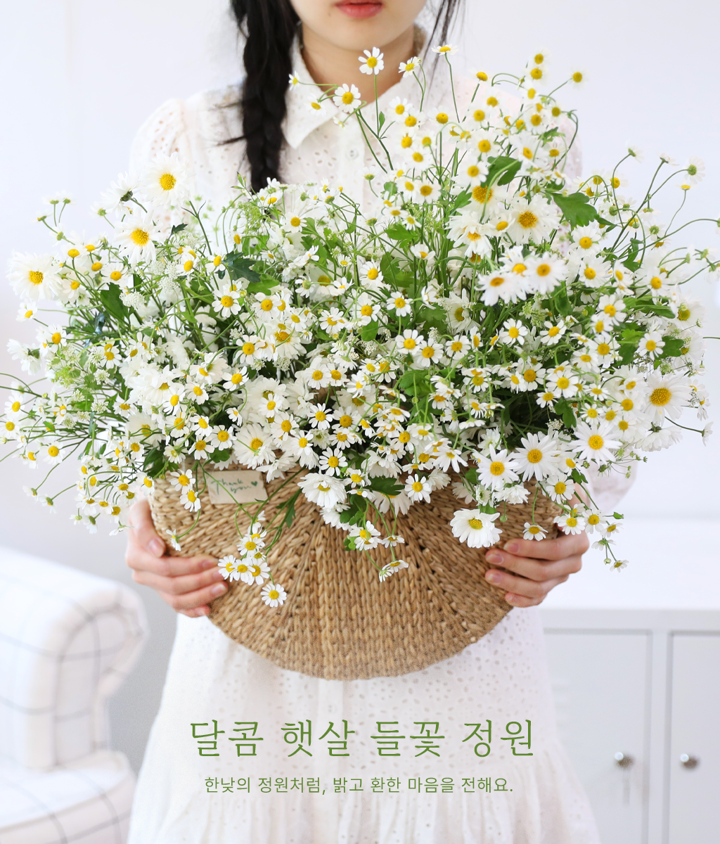 <br>달콤 햇살 들꽃 정원</br>
한낮의 정원처럼 밝고 환한 마가렛 꽃송이들이 기분 좋은 햇살을 선물합니다.
