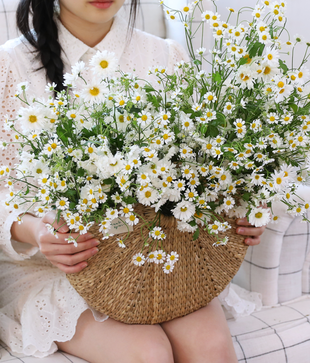 달콤 햇살 들꽃 정원