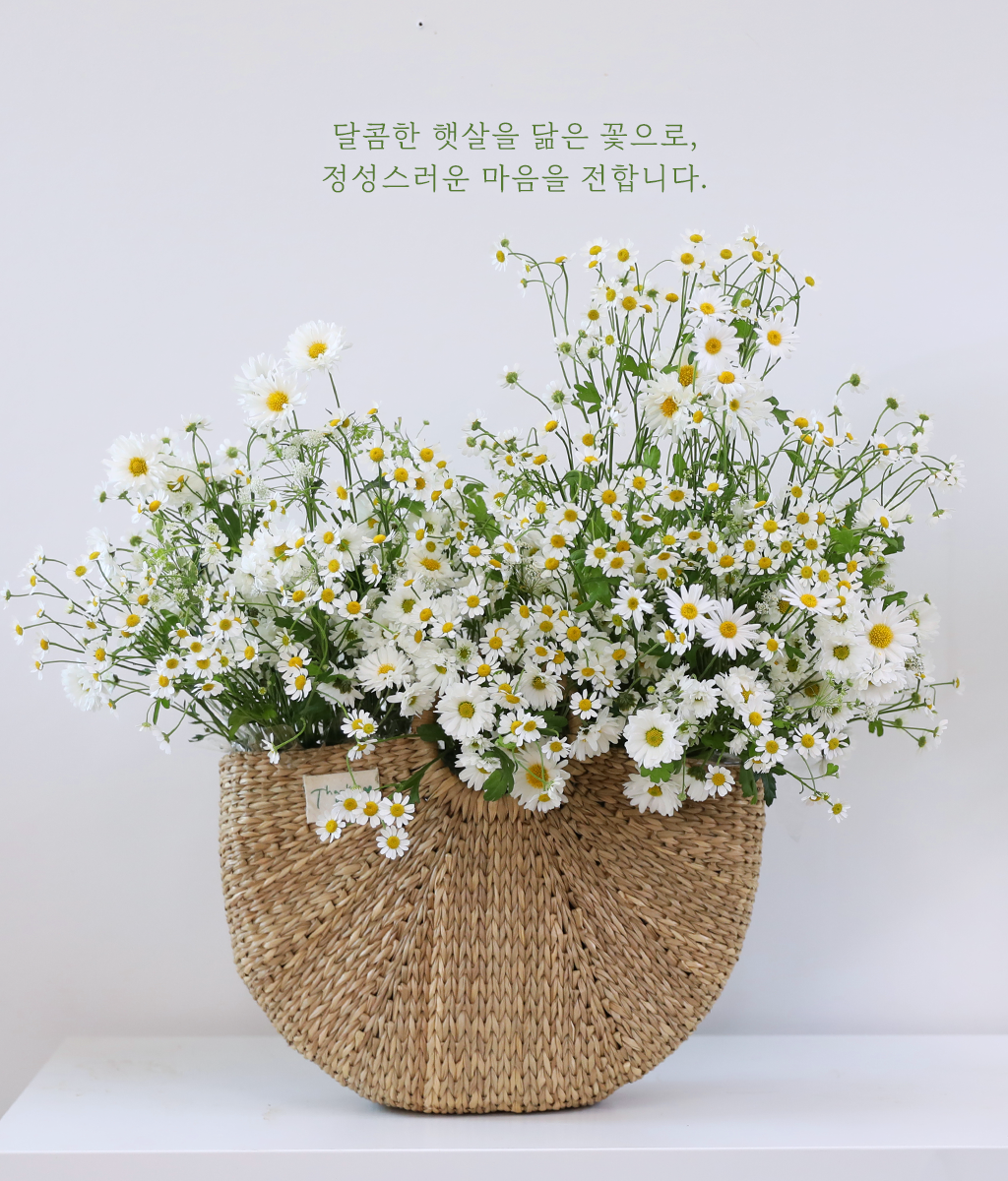 달콤 햇살 들꽃 정원