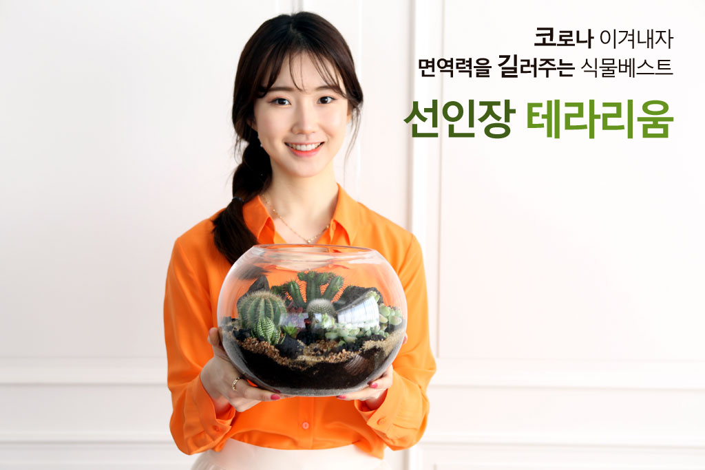 유리병안에 작은 정원을 꾸몄어요 - 다육테라리움 원형대