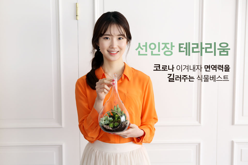 유리병안에 작은 정원을 꾸몄어요 - 물방울