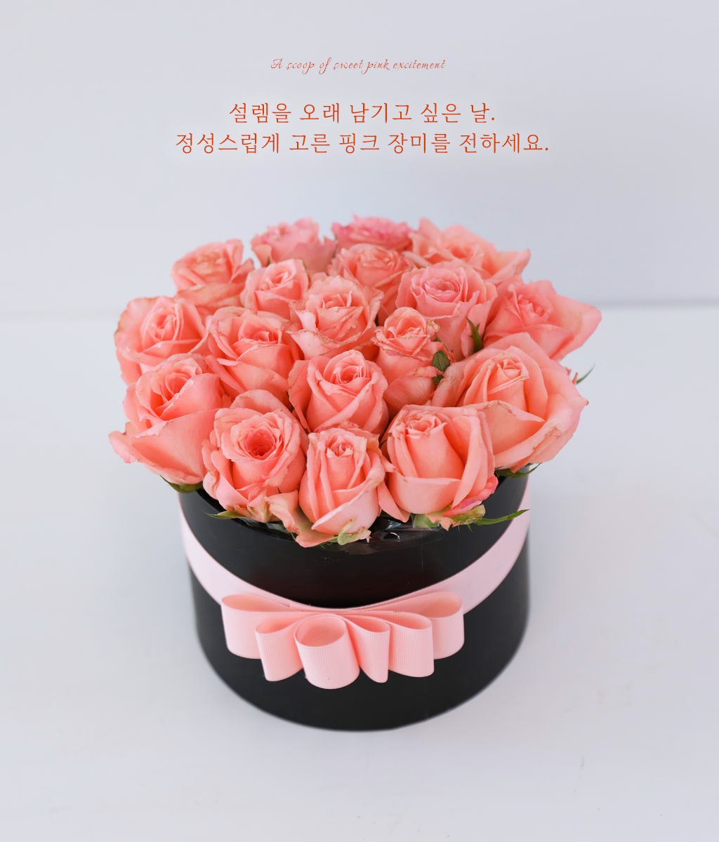 핑크빛 설렘 한 스푼
